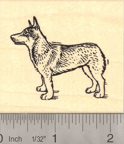Swedish vallhund dog Rubber Stamp