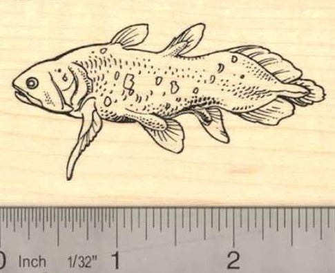 Coelacanth Fish Rubber Stamp