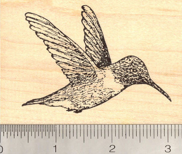 Hummingbird Rubber Stamp, in Flights, Wings Back
