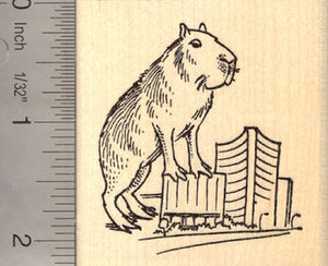 Giant Capybara Rubber Stamp