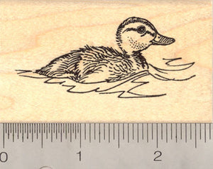 Mallard Duckling Rubber Stamp