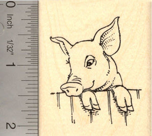 Cute pig looking over fence Rubber Stamp