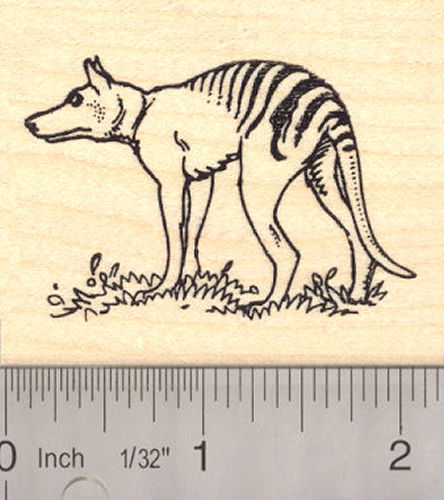 Thylacine (Tasmanian Tiger) Rubber Stamp