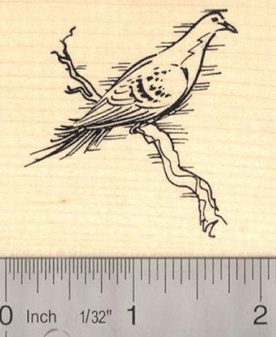 Passenger Pigeon Rubber Stamp (Recently Extinct Bird)