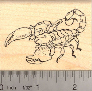 Large Scorpion Rubber Stamp