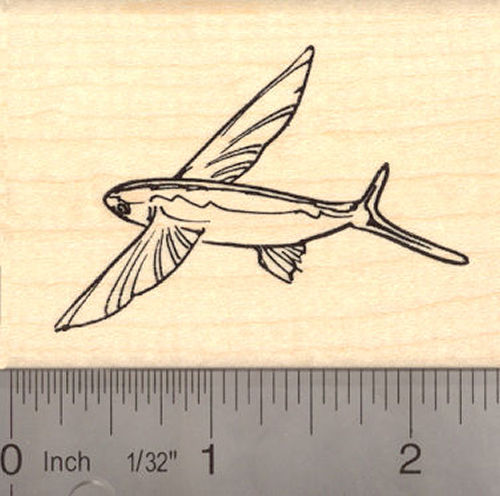 Flying Fish Rubber Stamp