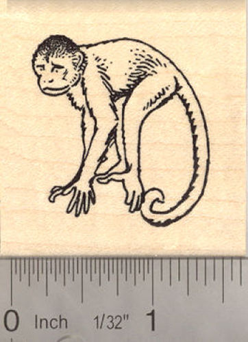 Capuchin Monkey Rubber Stamp