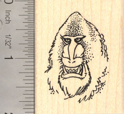 Mandrill Monkey Rubber Stamp