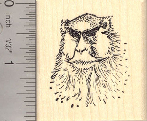 Patas Monkey Rubber Stamp (AKA Wadi, Hussar Monkey)