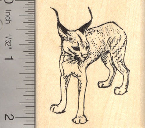 Caracal Cat Rubber Stamp