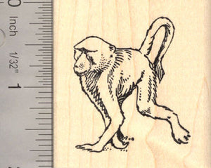 Baboon Monkey Rubber Stamp