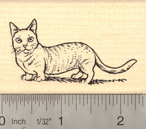 Munchkin Cat Rubber Stamp