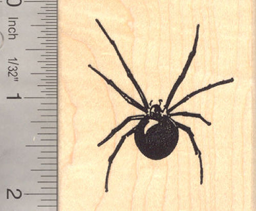 Black Widow Spider Rubber Stamp