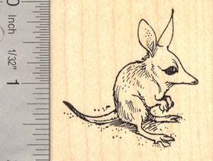 Lesser Bilby Rubber Stamp, Australian Rabbit-eared Bandicoot, AKA Yallara