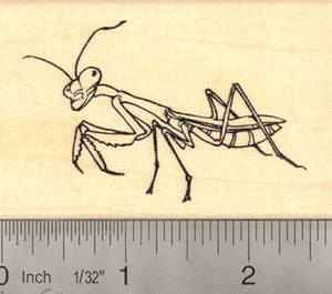Praying Mantis Rubber Stamp Insect, Bug, Garden