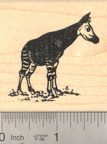Okapi Rubber Stamp (African Wildlife related to Giraffe)