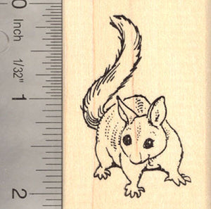 Common Brushtail Opossum Rubber Stamp