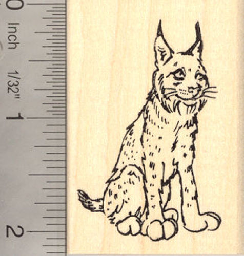 Lynx Rubber Stamp Bobcat Wildcat Wildlife