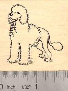 Portuguese Water Dog Rubber Stamp