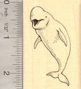 Beluga Whale Rubber Stamp, Marine Wildlife