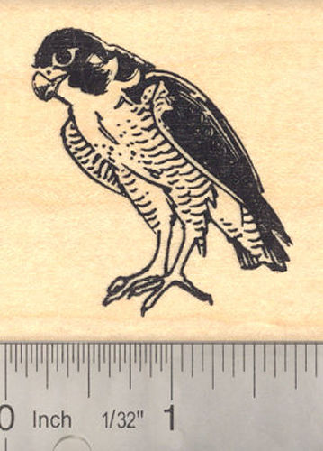 Falcon Rubber Stamp. Raptor Bird of Prey