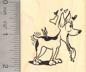 Rat Terrier Valentine Rubber Stamp - Hit by Cupid's Arrow