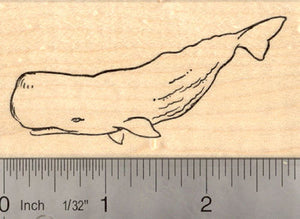 Sperm Whale Rubber Stamp