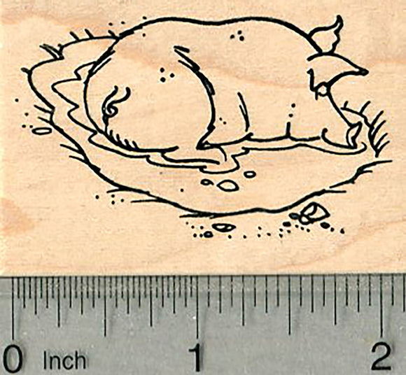 Wallowing Pig Rubber Stamp