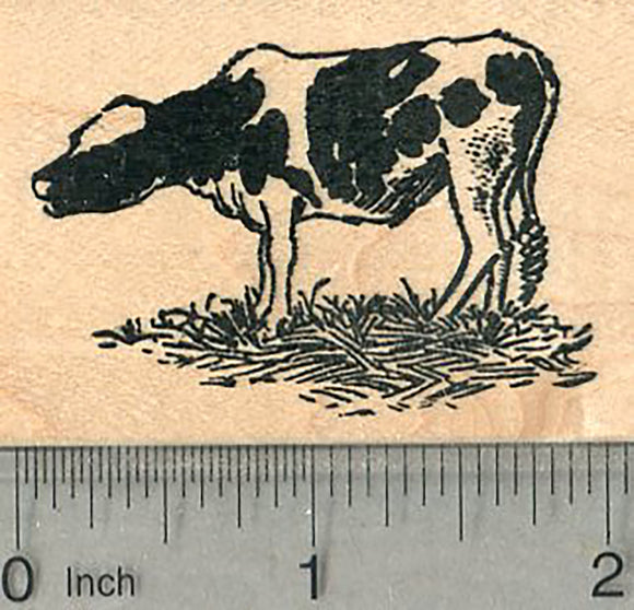 Holstein Calf Rubber Stamp, Holstein-Friesian cattle