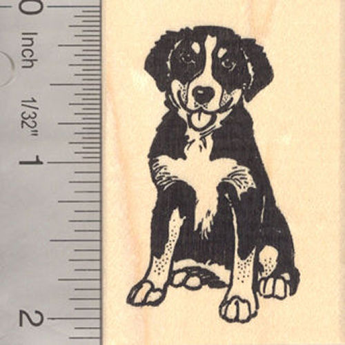 Bernese Mountain Dog Rubber Stamp