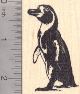 Humboldt Penguin Rubber Stamp, AKA Peruvian Penguin, Banded
