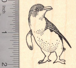 Little Penguin Rubber Stamp, Birds of Australia and New Zealand