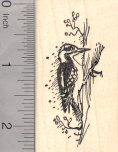 Downy Woodpecker Rubber Stamp
