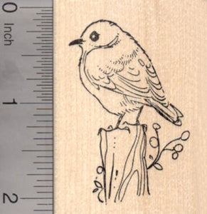 Eastern Bluebird Rubber Stamp, American Thrush Family Blue Bird
