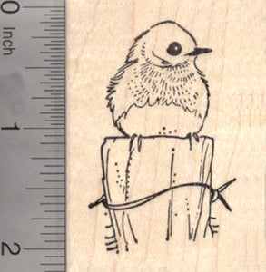 Eastern Bluebird Rubber Stamp, American Thrush Family Blue Bird