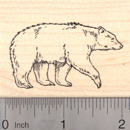 Black Bear Rubber Stamp