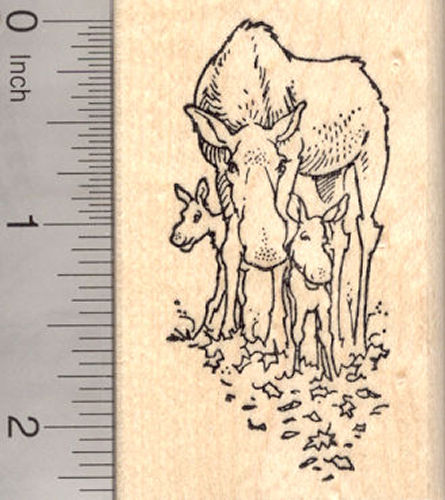 Mother Moose and Calves (Baby Moose) Rubber Stamp