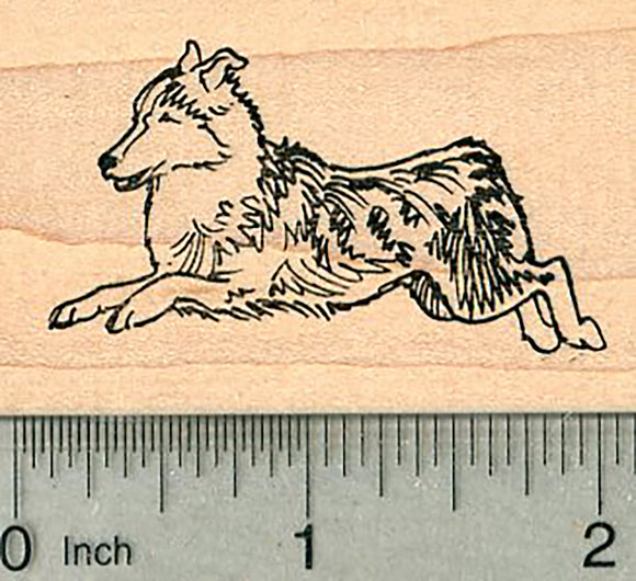 Shetland Sheepdog Rubber Stamp, Sheltie Dog