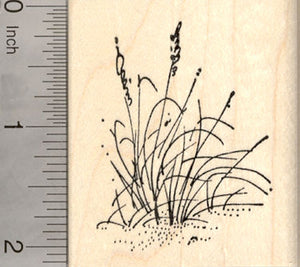 Cattail Rubber Stamp, AKA Bulrush, Reedmace, Catninetail, Beach Themed Stamps