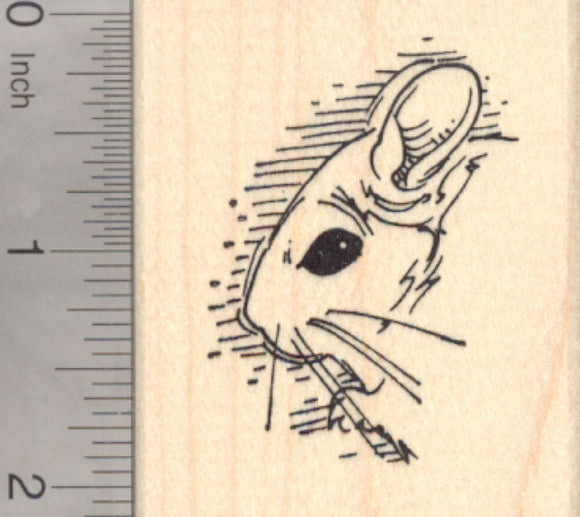Chinchilla Rubber Stamp, in Profile