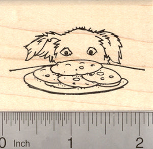 Border Collie Dog with Cookies Rubber Stamp, or Shepherd Mix (semi-prick ears)