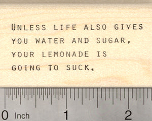 Realist Rebuttal Saying Rubber Stamp, When life hands you lemons, optimist