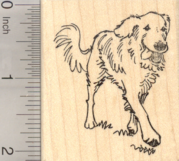 Golden Retriever Rubber Stamp, Dog