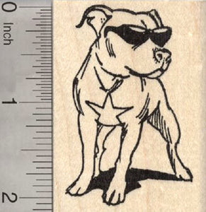 American Pitbull dog Rubber Stamp in Sunglasses