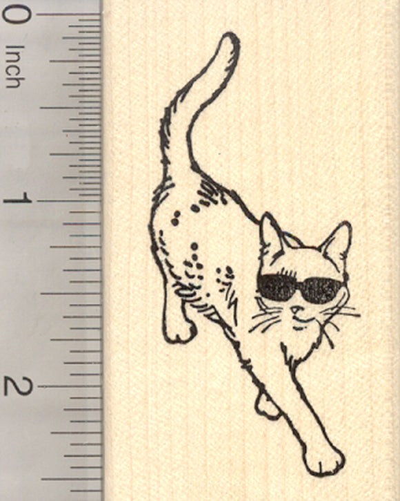 Cat in Sunglasses Rubber Stamp