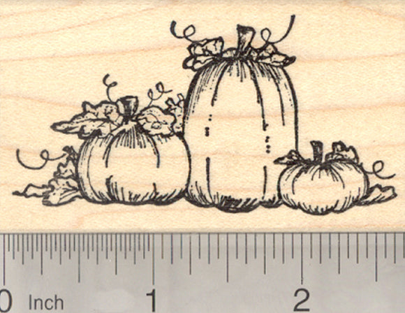 Pumpkin Patch Rubber Stamp, Halloween or Fall Series