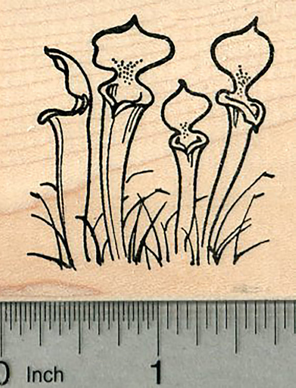 Pitcher Plants Rubber Stamp, Carnivorous Plant Series