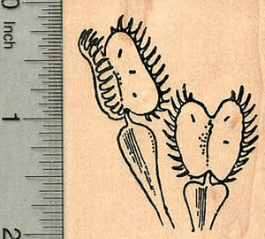 Venus Flytrap Rubber Stamp, Carnivorous Plant Series