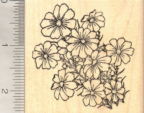 Cosmos Flower Rubber Stamp, Flowering Plant