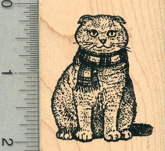 Scottish Fold Rubber Stamp, Cat in Scarf